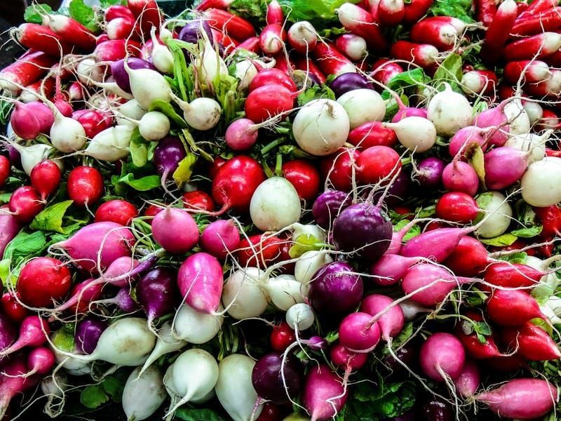 A bunch of fresh red, white, and purple radishes